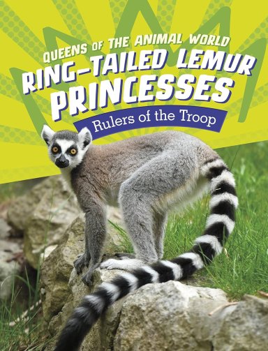 Ring-tailed Lemur Princesses