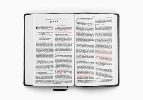ESV Premium Church Bible, Large Print, Red Letter (TruTone, Black)