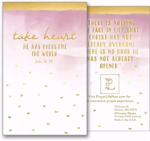Cards-Share-It-Take Heart (2-1/8" X 3-3/8") (Pack Of 24)
