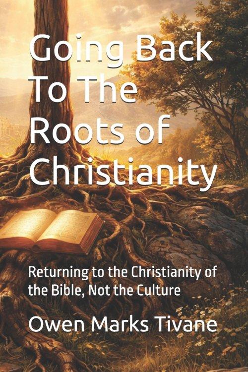 Going Back To The Roots of Christianity : Returning to the Christianity of the Bible, Not the Culture