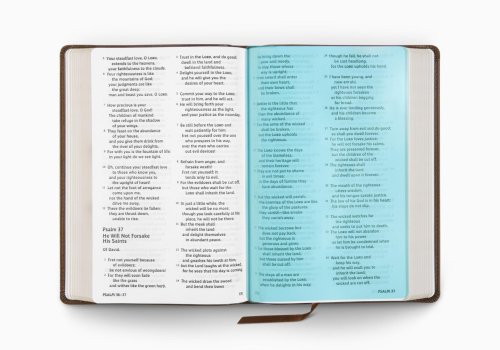 ESV Holy Bible: Dyslexia-Friendly Edition