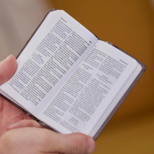 KJV Holy Bible: Pocket New Testament with Psalms and Proverbs, Black Softcover, Red Letter, Comfort Print: King James Version