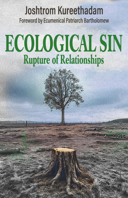 Ecological Sin: Rupture of Relationships