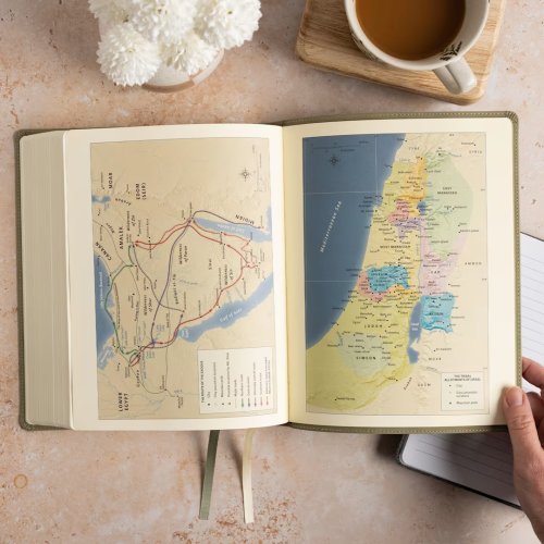 KJV Notetaking Bible, Large Print Edition, Sage Suedesoft