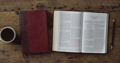 ESV Large Print Thinline Bible, Red Letter (TruTone, Burgundy/Red, Timeless Design)