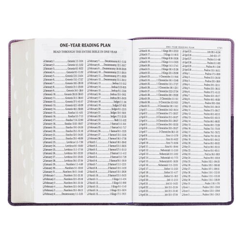 KJV Giant Print Faux Leather Purple Two-tone
