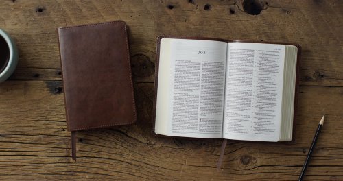 ESV Compact Bible, Red Letter (TruTone, Brown)
