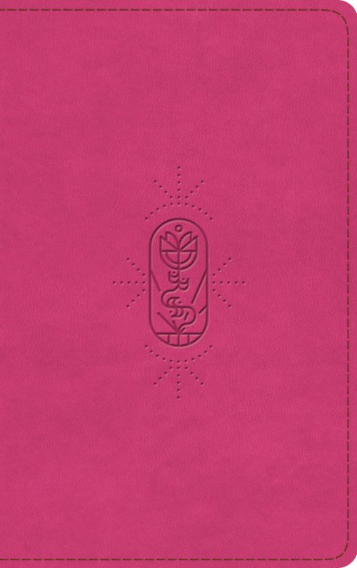 ESV Holy Bible for Kids (TruTone, Berry, The True Vine Design)