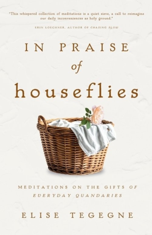 In Praise of Houseflies: Meditations on the Gifts in Everyday Quandaries