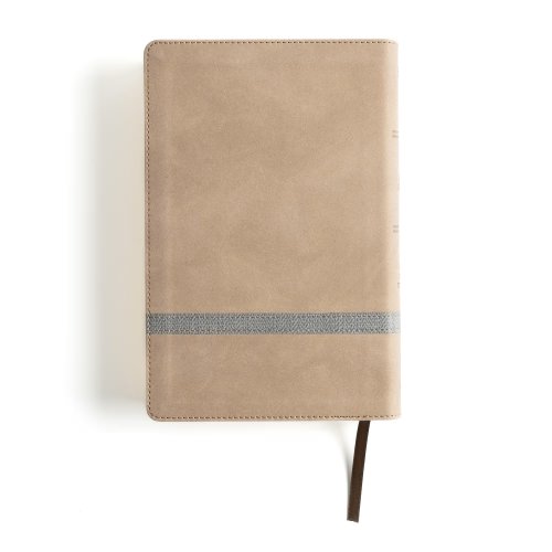 KJV Large Print Personal Size Reference Bible, Earthen Suede