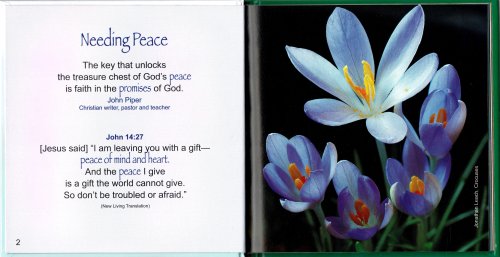 A Bouquet of Promises Book