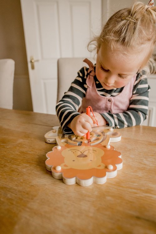 Lion Magnetic Maze (FSC®)