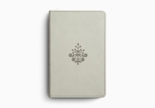 ESV Large Print Value Thinline Bible (TruTone, River Stone, Branch Design)