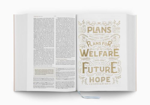ESV Women's Study Bible (Hardcover, Blush Wildflower Design)