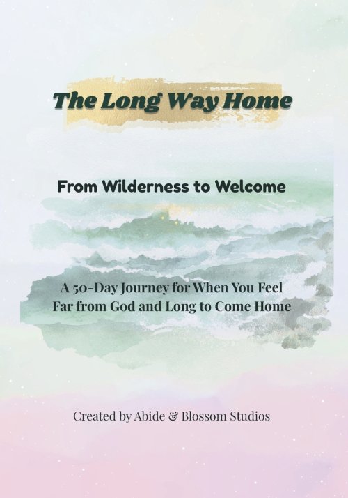 The Long Way Home: From Wilderness to Welcome: A 50-Day Devotional for Hearts Longing to Return to God