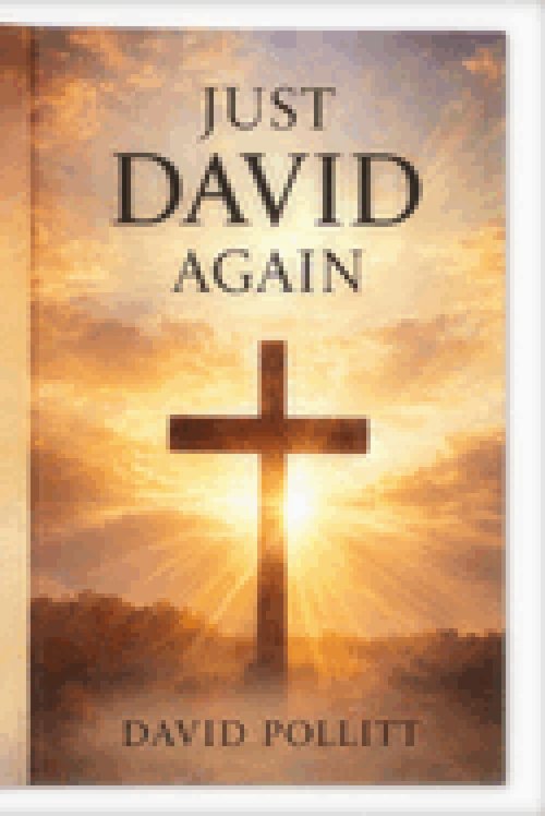Just David Again: How God carries us through our most difficult Journeys