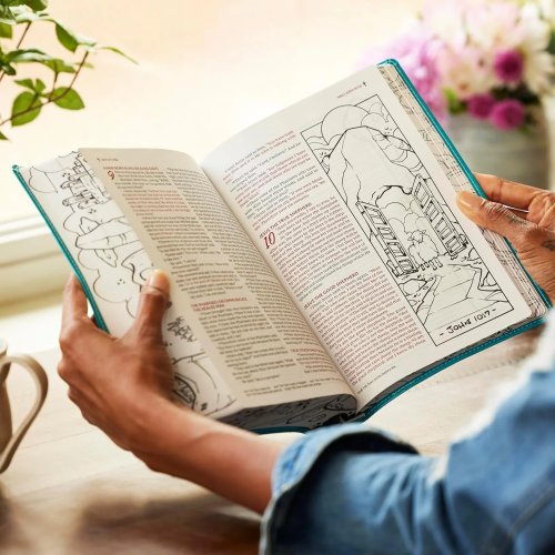 The Sketchbook Bible