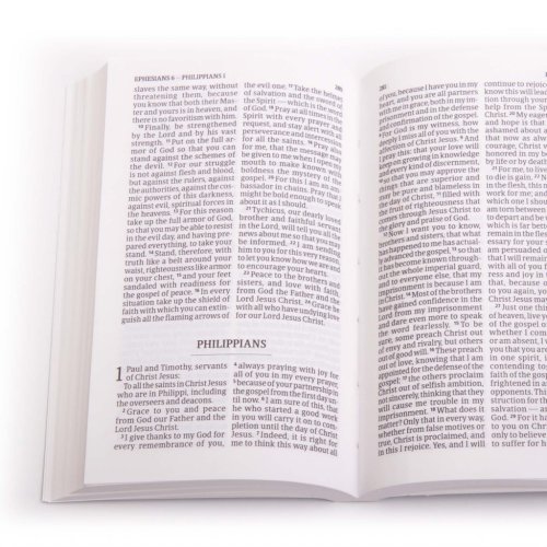 CSB Pocket New Testament with Psalms, Burgundy Trade Paper