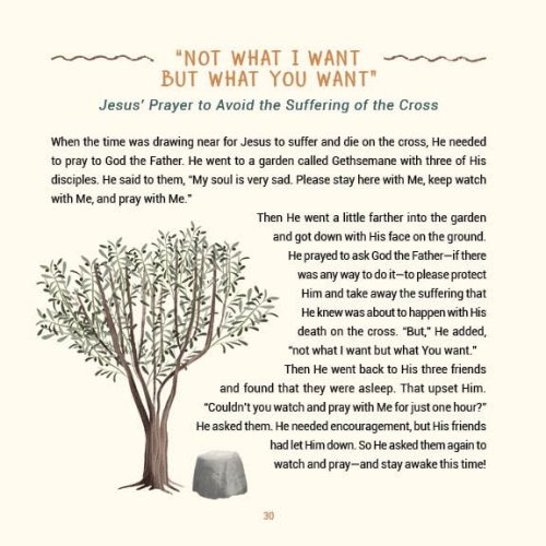 A Year of Bible Stories and Prayers: A Treasury of 96 Best-Loved Stories From God's Word