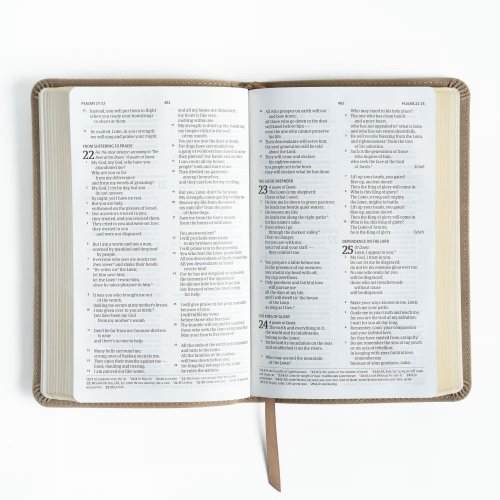 CSB Personal Size Bible, Digital Study Edition, Earth