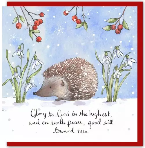 Hedgehog (Pack of 5) Christian Christmas Cards