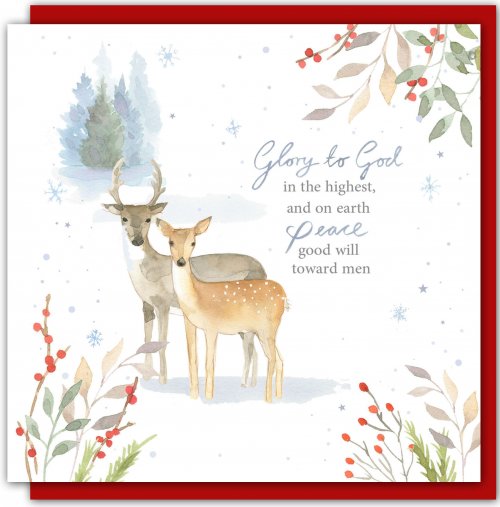 Winter Deer (Pack of 5) Christmas Cards