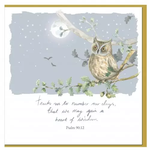 Owl Encouragement Single Card