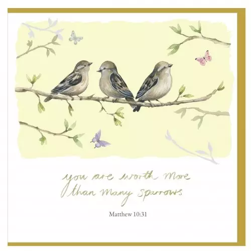 Sparrows Encouragement Single Card