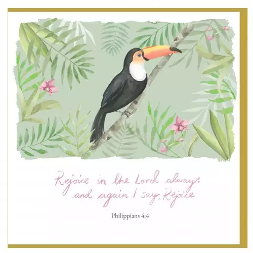 Toucan Encouragement Single Card