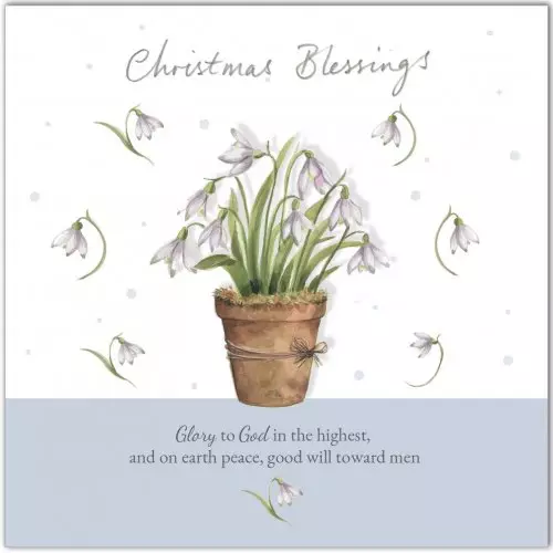 Snowdrop Blessings (Pack of 5) Christmas Cards