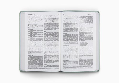ESV Value Thinline Bible (TruTone, Paris Sky, Fleur-de-lis Design)