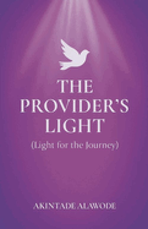 The Provider's Light