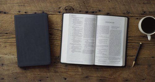 ESV Large Print Value Thinline Bible (TruTone, Black)