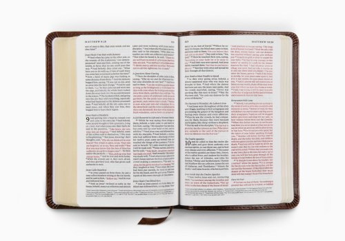 ESV Compact Bible, Red Letter (TruTone, Brown)