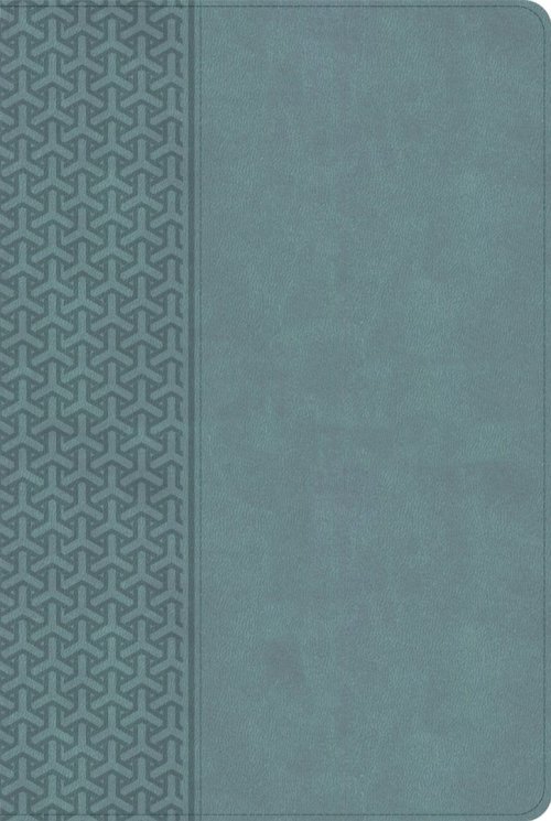 CSB Everyday Study Bible, Earthen Teal Leathertouch