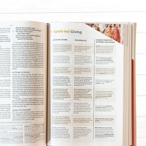 CSB Student Study Bible, Slate Hardcover