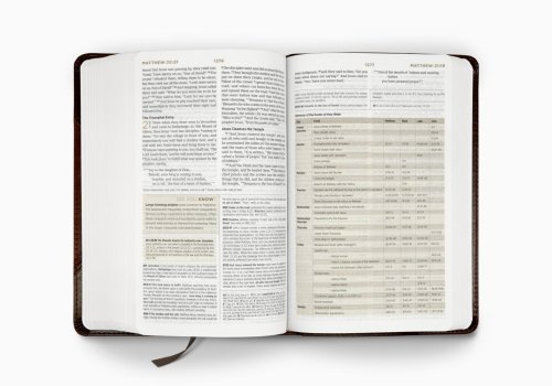 ESV Student Study Bible (TruTone, Brown/Cordovan, Portfolio Design)