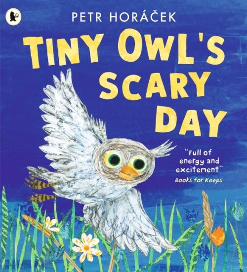 Tiny Owl\'s Scary Day
