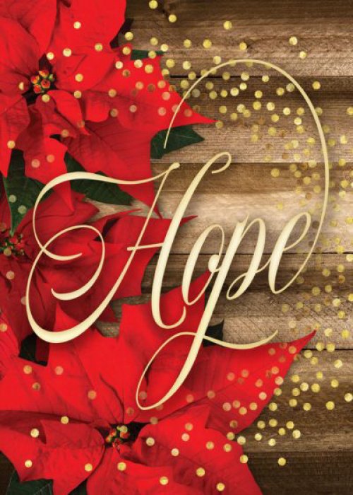 Boxed Card-Hope Is Born Anew Solid Pack (Romans 13:14  KJV) (Box Of 12)