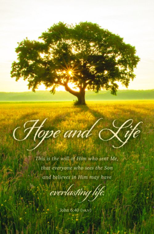 Bulletin-Hope And Life/This Is The Will Of Him Who Sent Me (John 6:40 NKJV) (Pack Of 100)