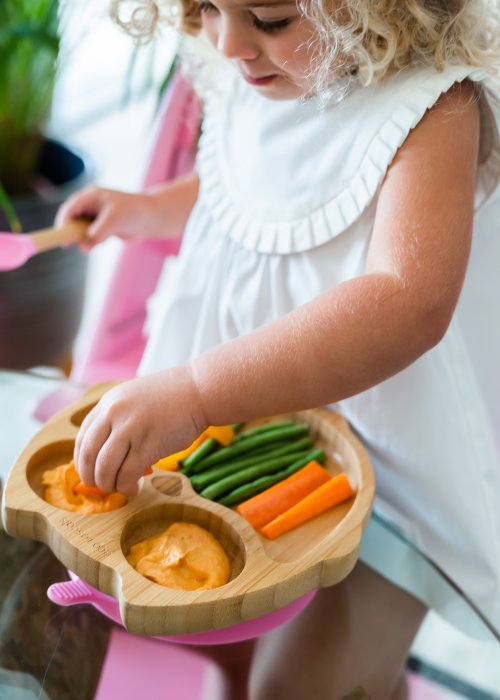 Bamboo Owl Plate Weaning Gift Set - Pink