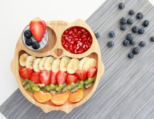 Bamboo Owl Suction Plate - Grey