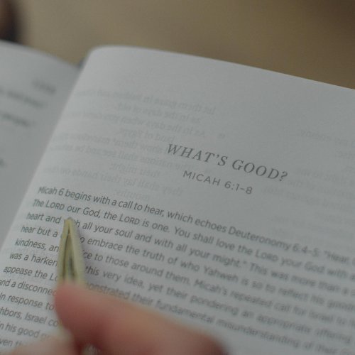 ESV Applying the Gospel Study Bible for Women (Hardcover)