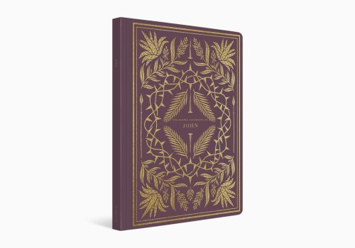 John - ESV Illuminated Scripture Journal