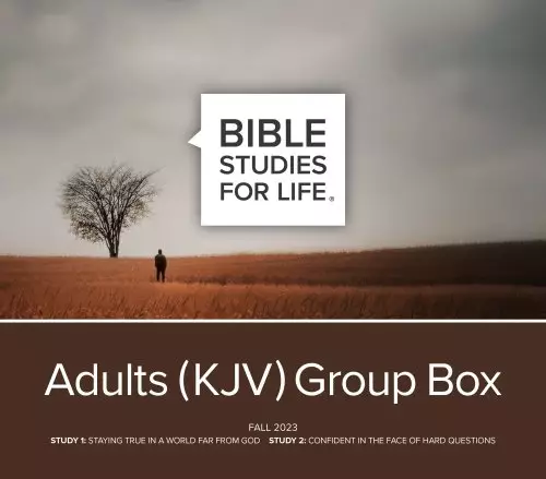 Bible Studies for Life: Adult Group Box - KJV - Fall 2023