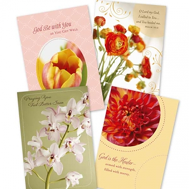 Get Well - Budding Hope - 12 Boxed Cards