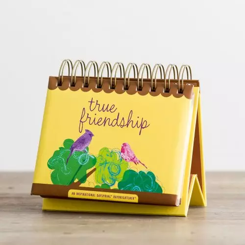 True Friendship Perpetual Calendar Daybrightener