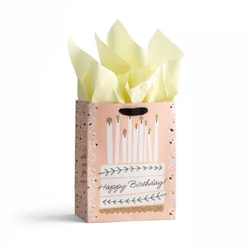 Happy Birthday - Cake - Medium Gift Bag with Tissue