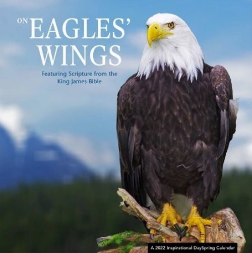 Eagles 2022 Calendar Eagles Wings Mini Wall Calendar 2022 081983739200 | Eden