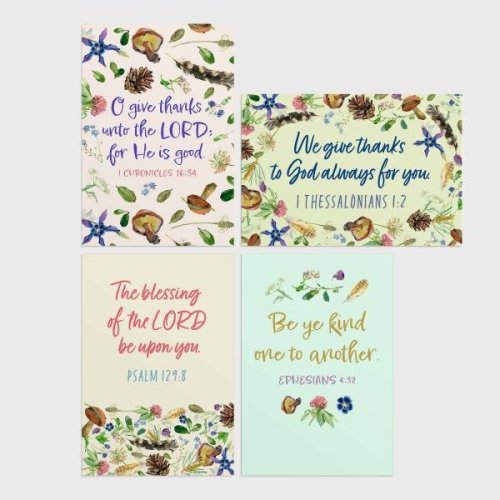 Thank You - Seashells - 12 Boxed Cards